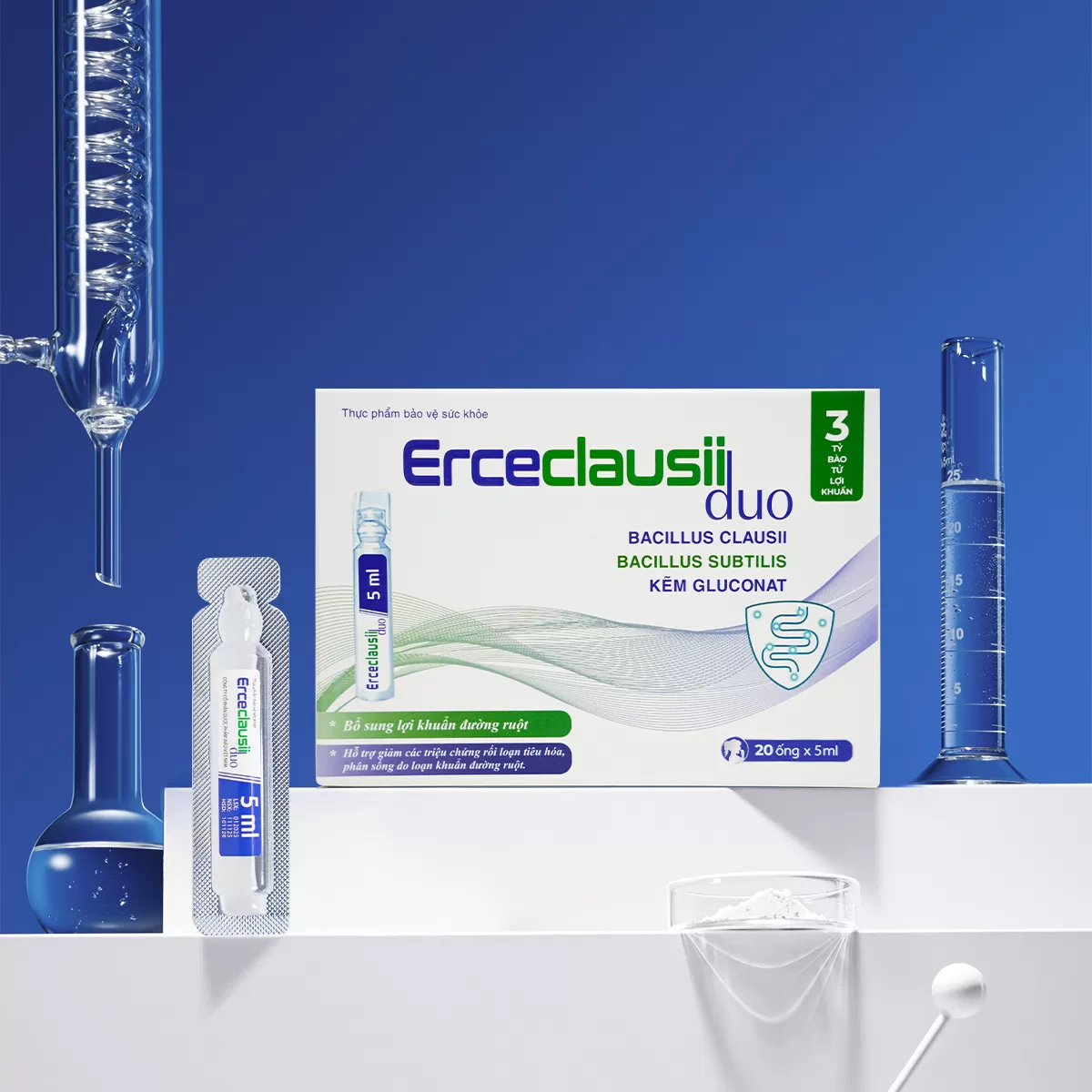 Men Ercecclausii Duo