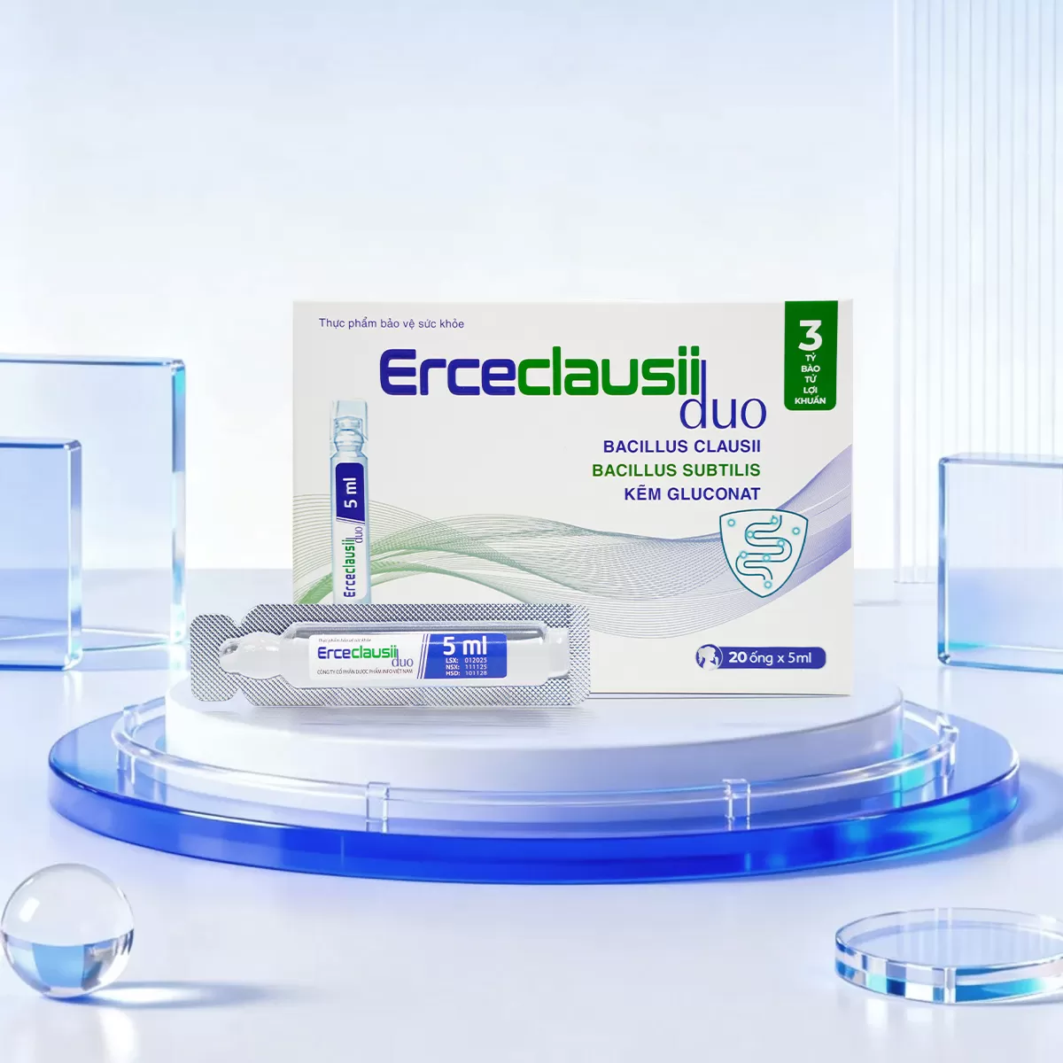 Men Ercecclausii Duo