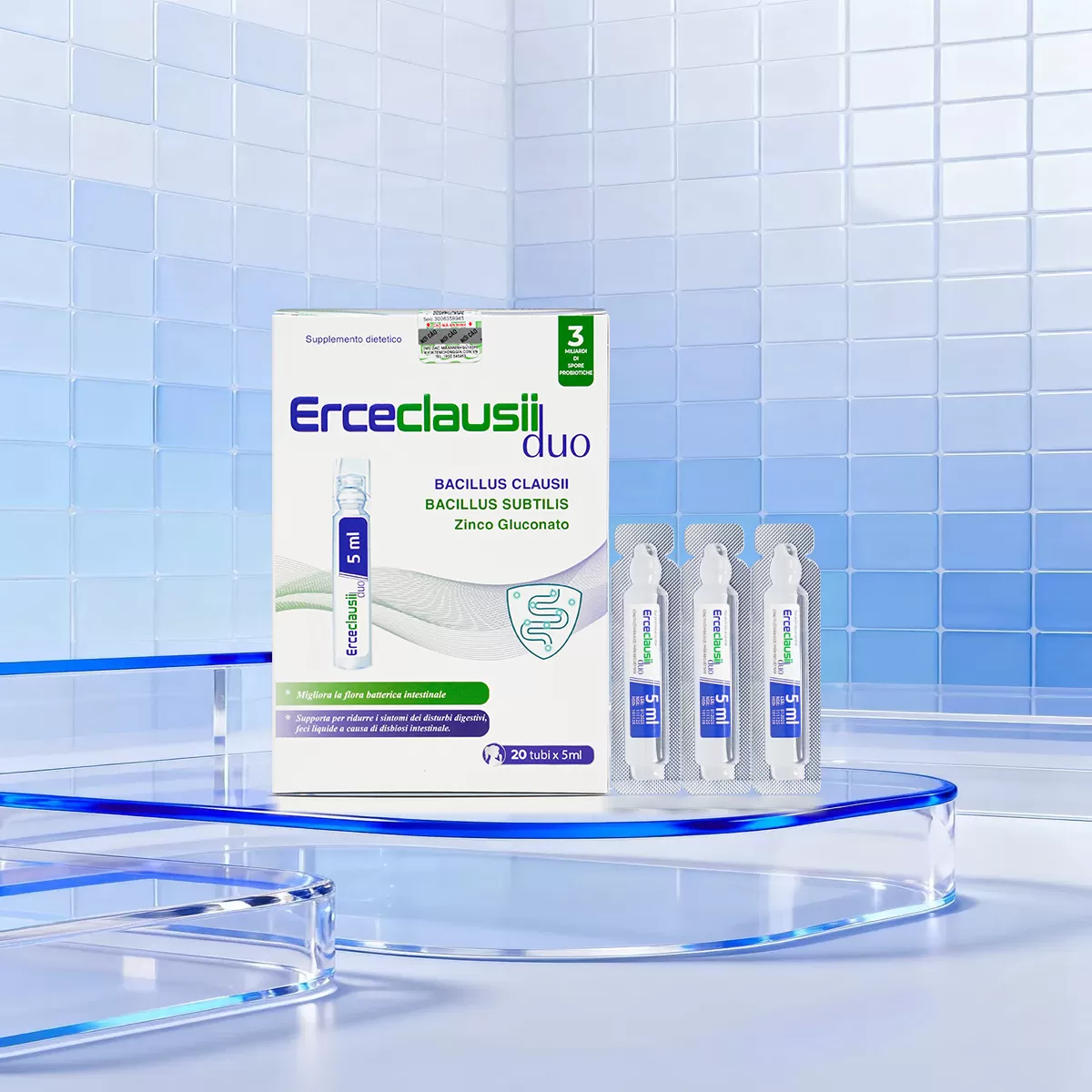 Men Ercecclausii Duo